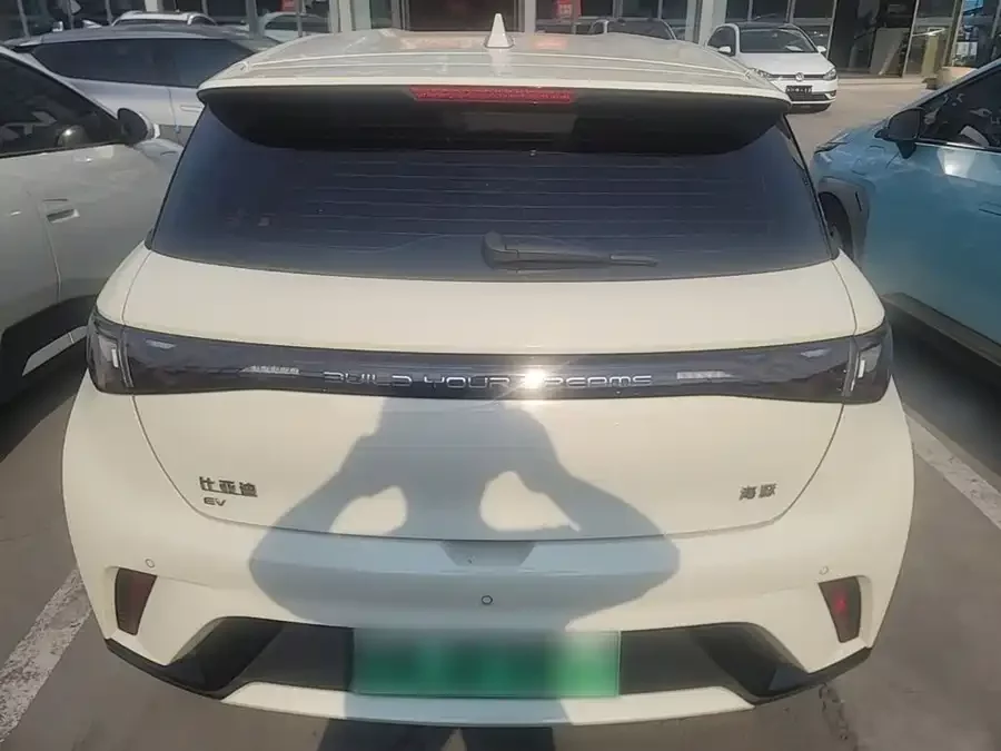 BYD Dolphin