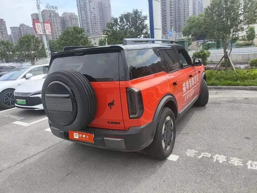 Ford Smart and Fun Horse
