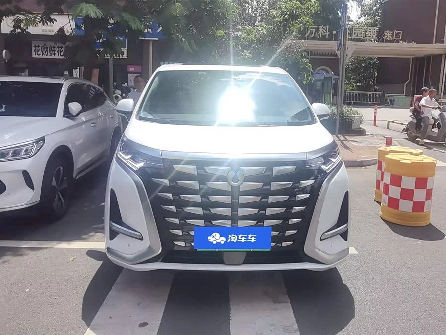 BYD D9