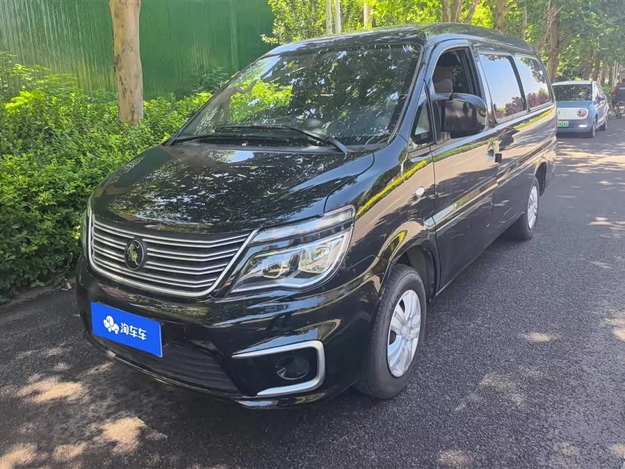 Dongfeng Lingzhi