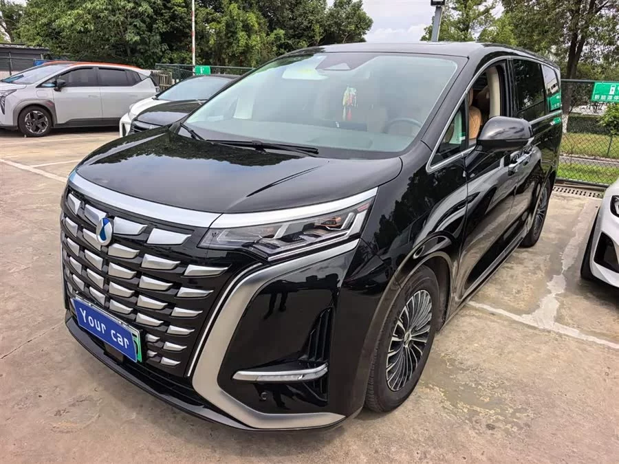 BYD D9