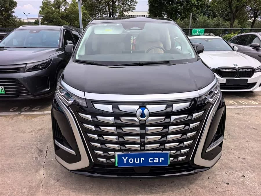 BYD D9