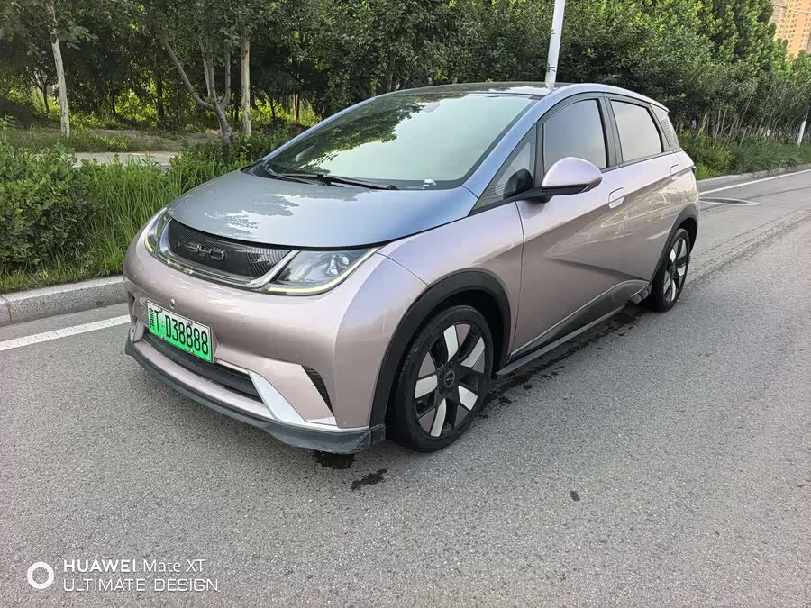 BYD Dolphin
