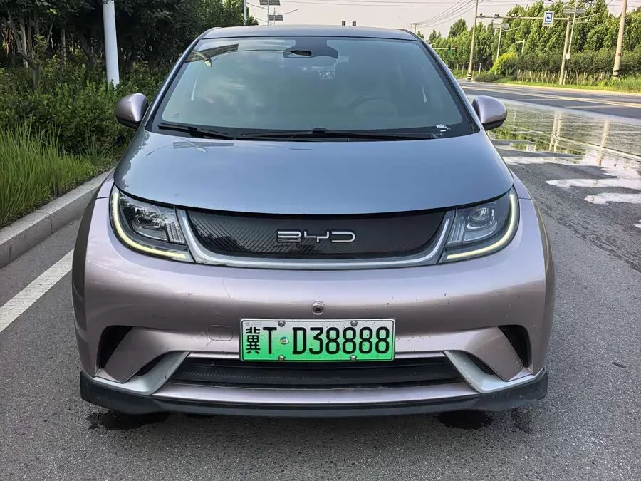 BYD Dolphin
