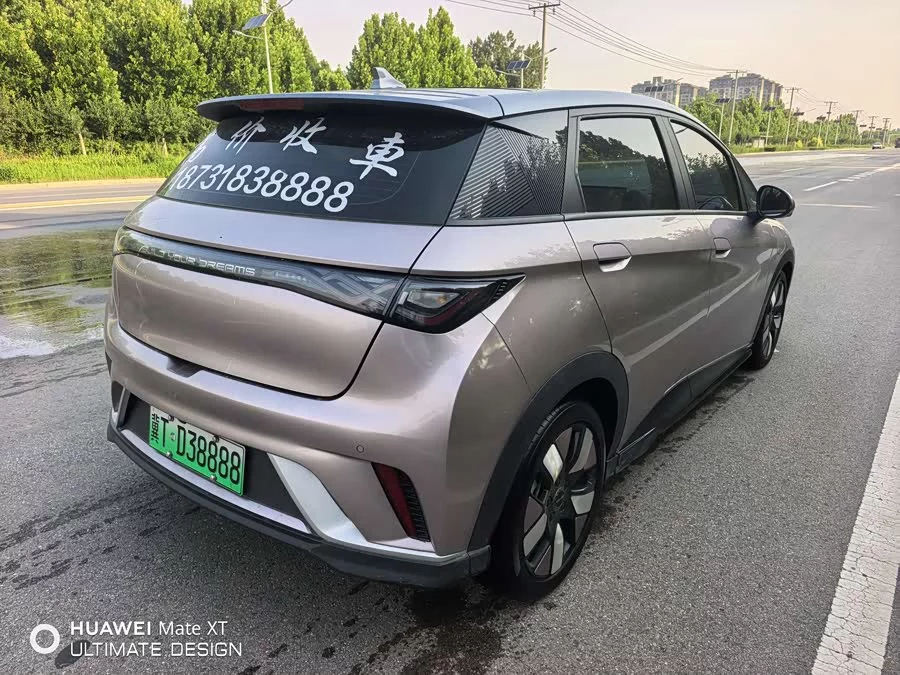 BYD Dolphin