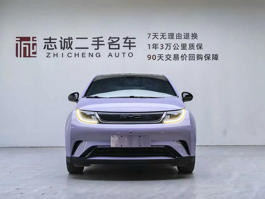 BYD Dolphin