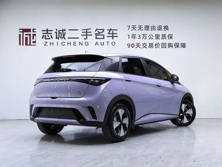 BYD Dolphin