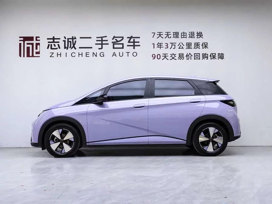 BYD Dolphin