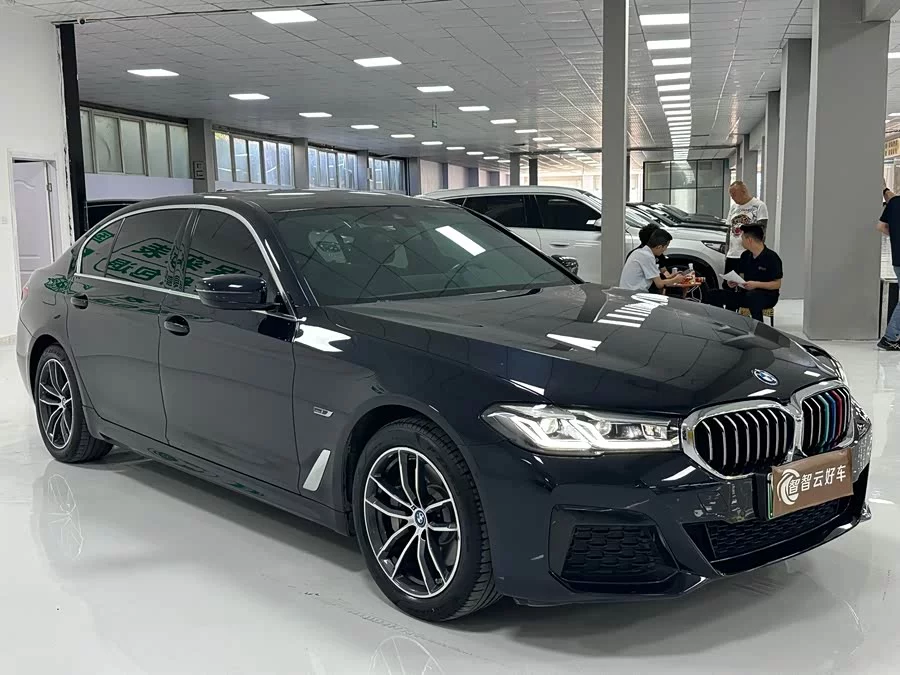BMW 5 Series New Energy