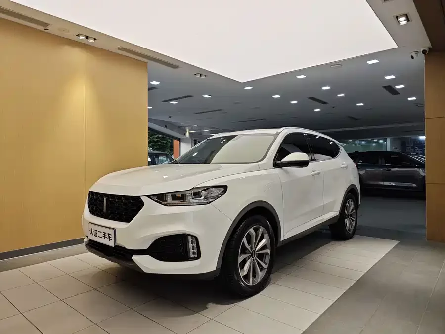 Wey VV6