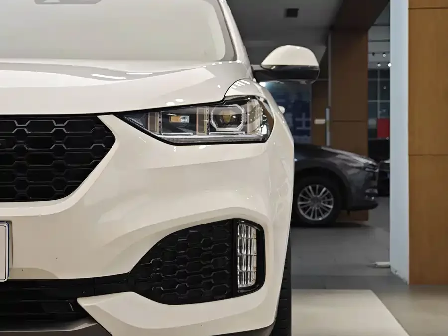 Wey VV6