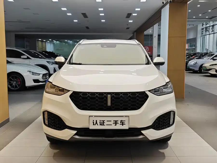 Wey VV6