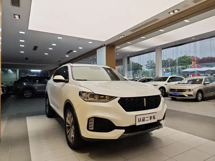 Wey VV6