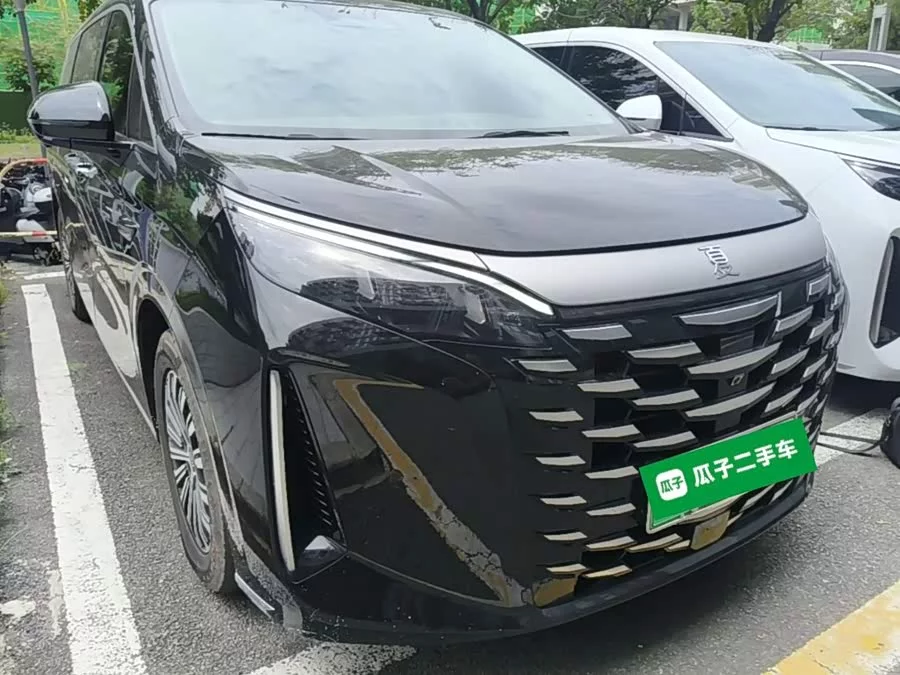 BYD summer