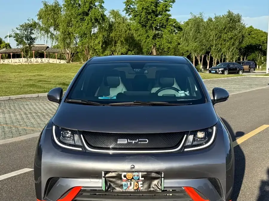 BYD Dolphin