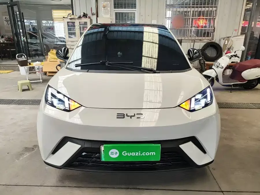 BYD Seagull