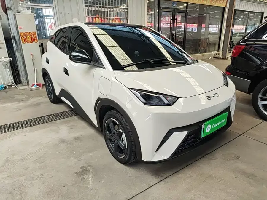 BYD Seagull