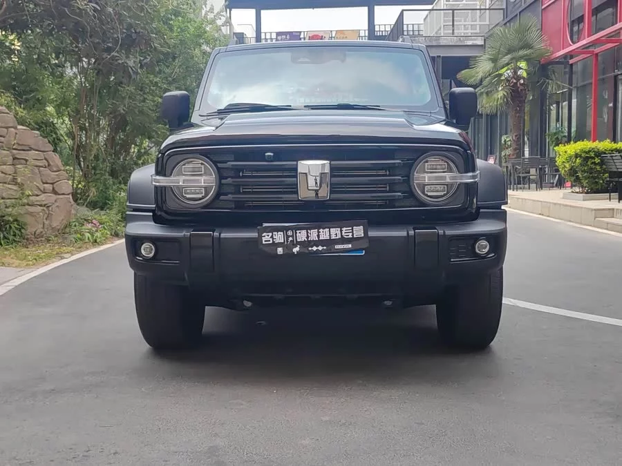 TANK 300