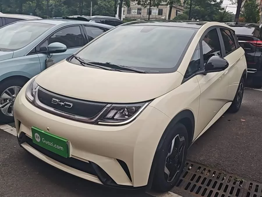BYD Dolphin