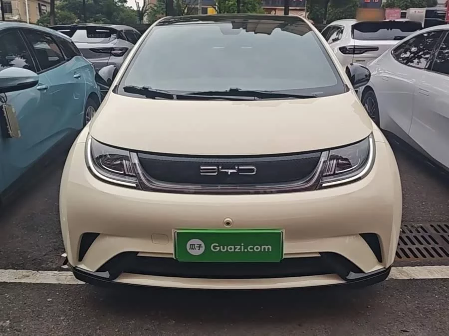 BYD Dolphin