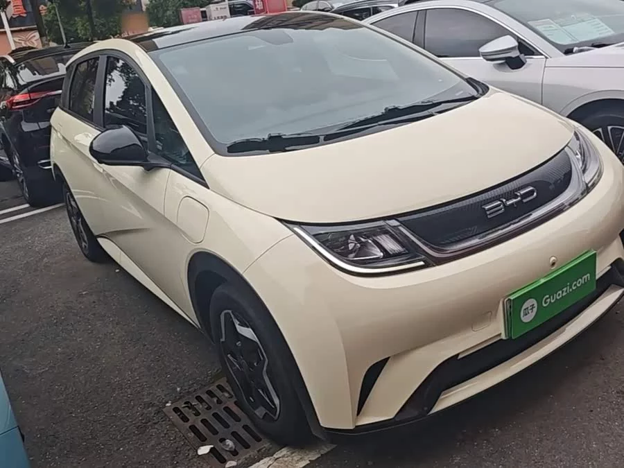 BYD Dolphin