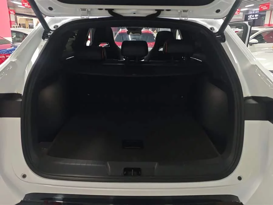 BYD Song PLUS New Energy