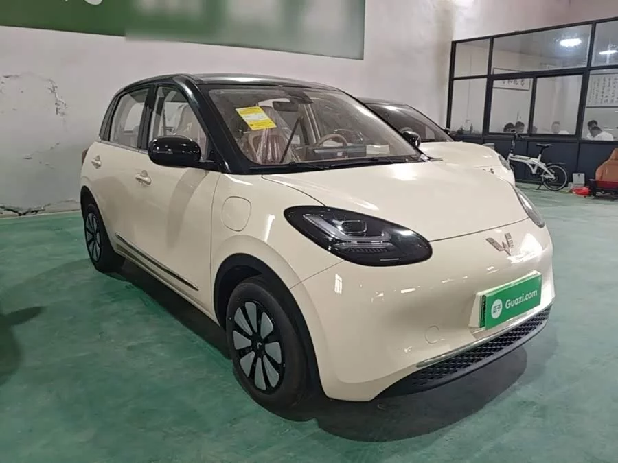 Wuling Bingo