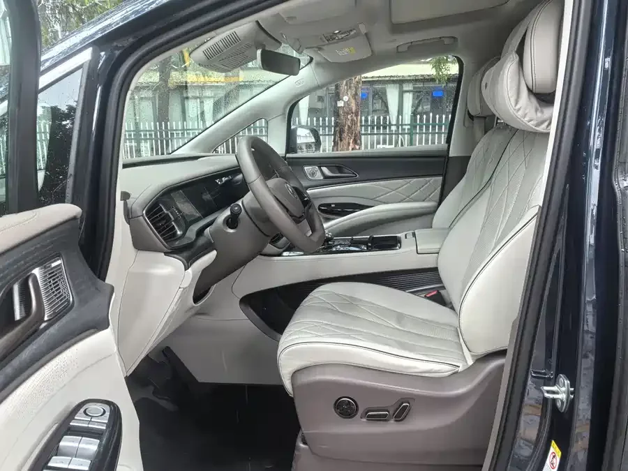 BYD D9
