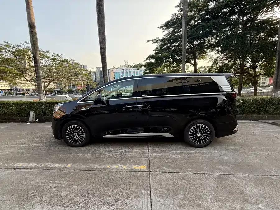 BYD D9