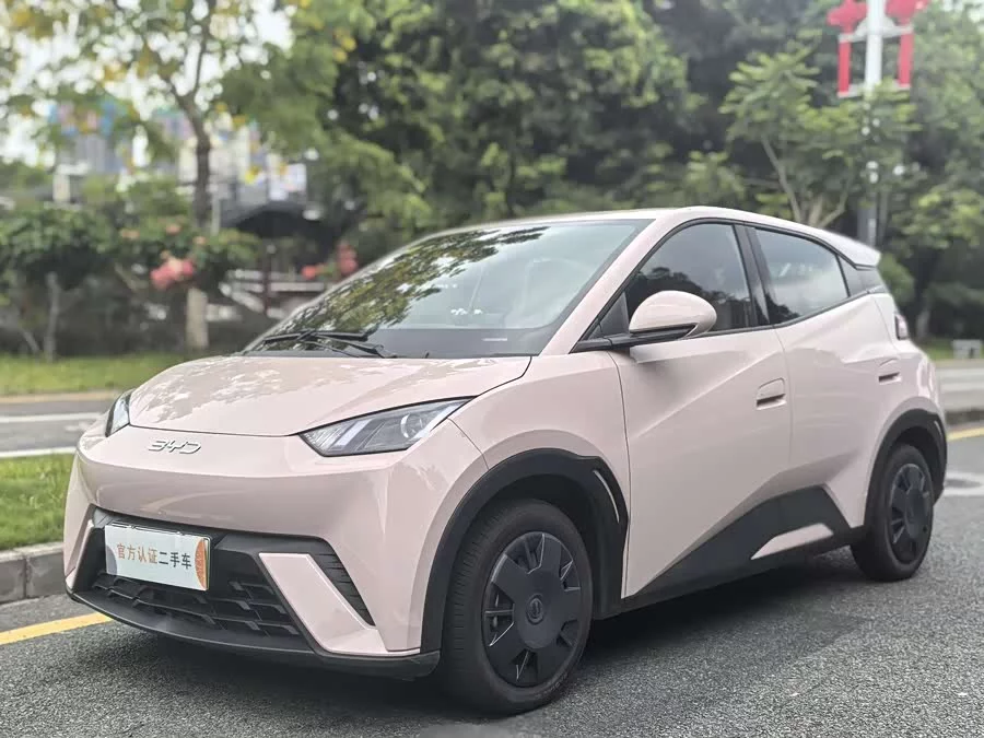 BYD Seagull