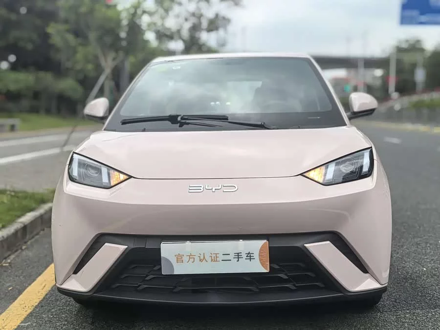 BYD Seagull