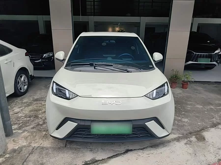 BYD Seagull