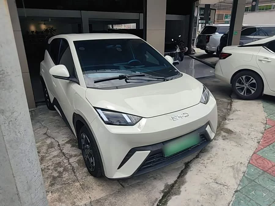 BYD Seagull