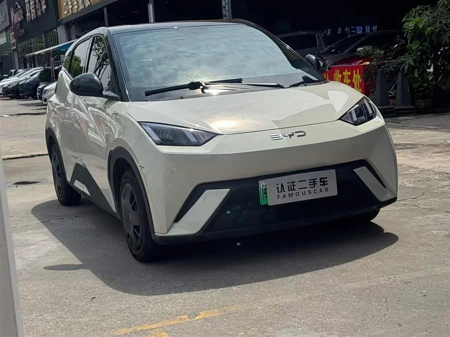 BYD Seagull