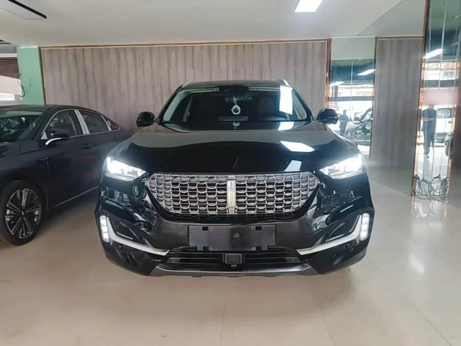 Wey VV6