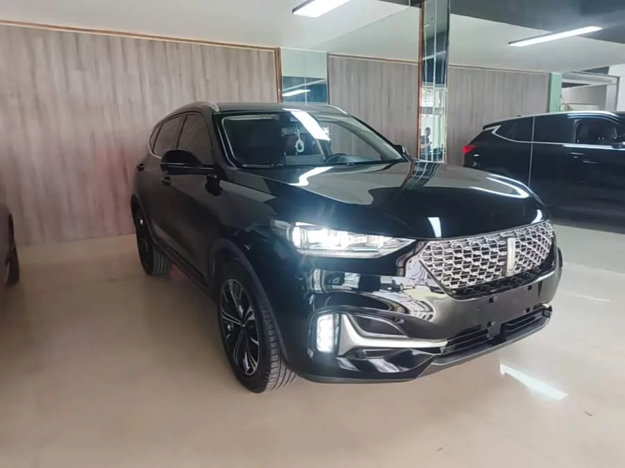 Wey VV6