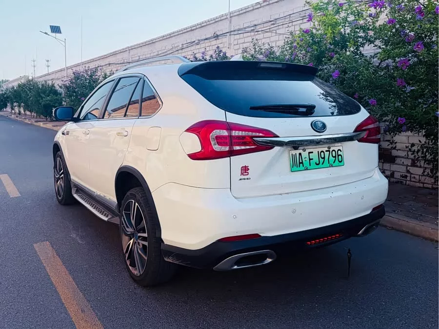 BYD Tang New Energy
