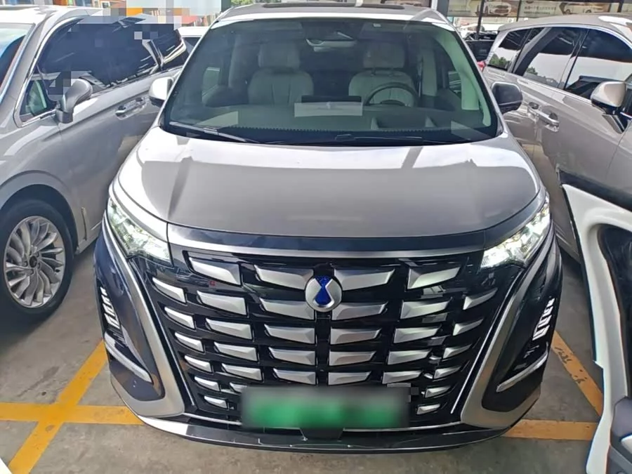 BYD D9