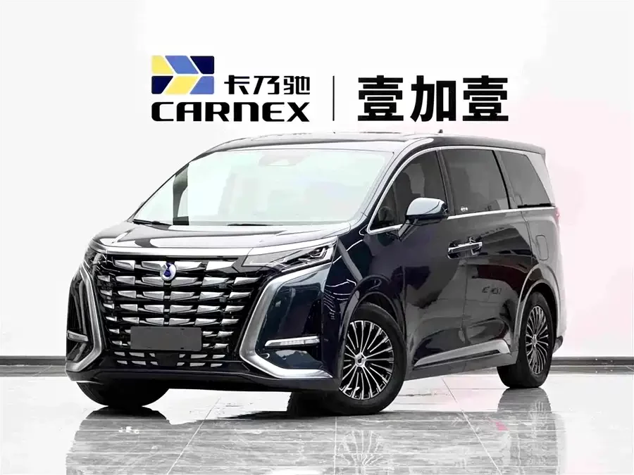 BYD D9