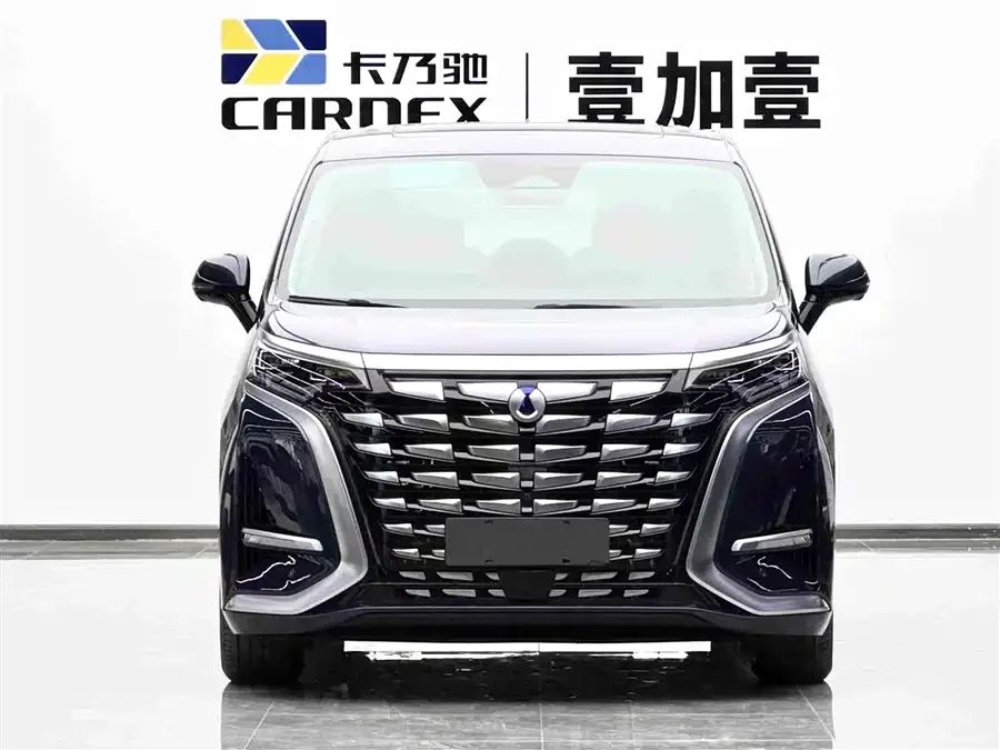 BYD D9