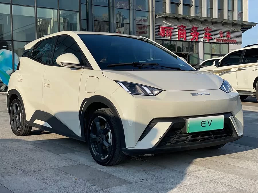 BYD Seagull