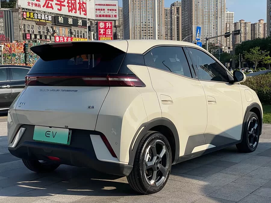 BYD Seagull