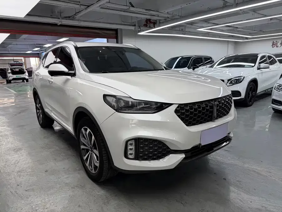 Wey VV6