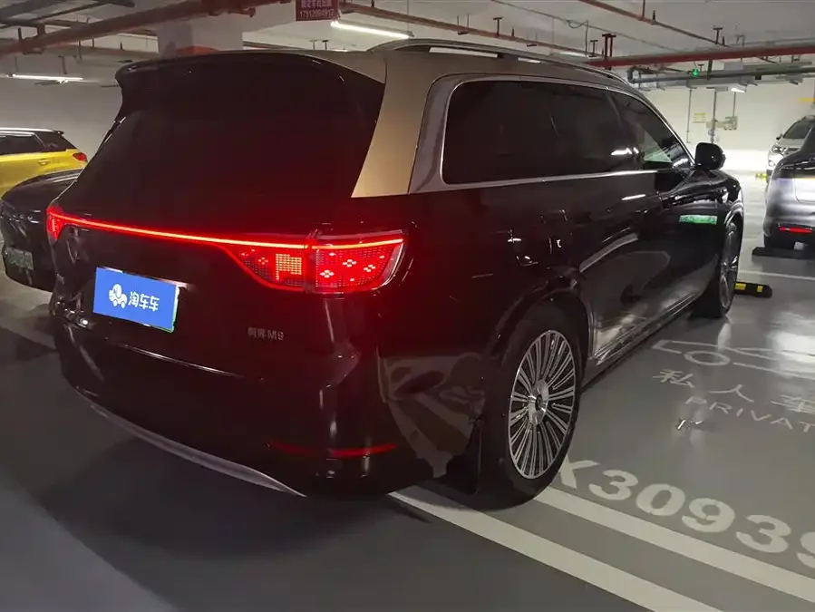 AITO Wenjie M9