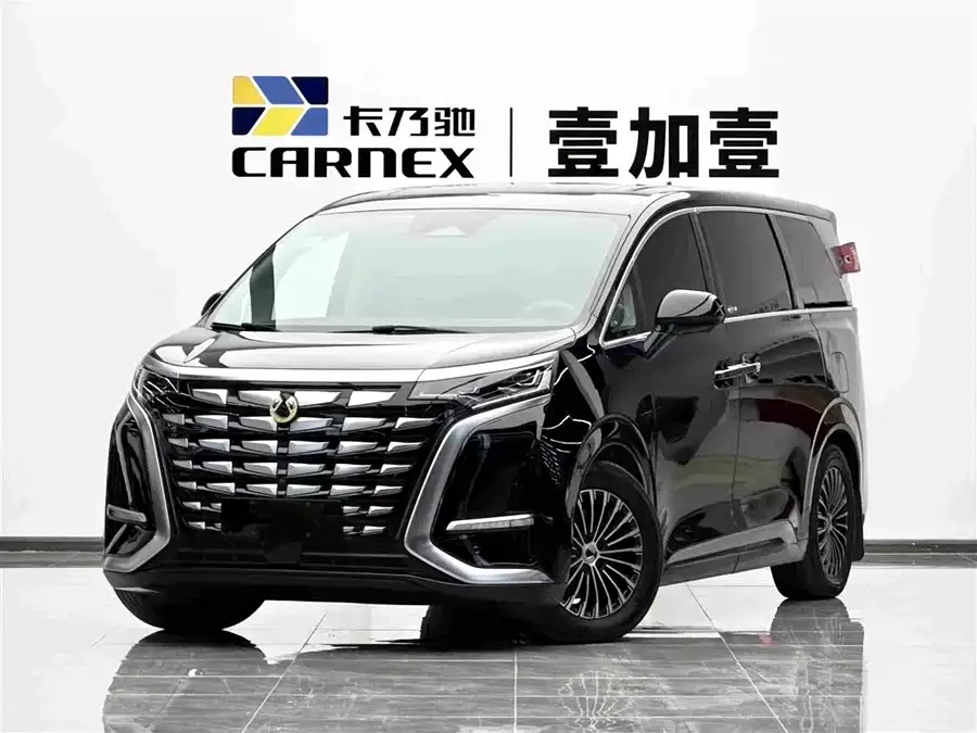 BYD D9