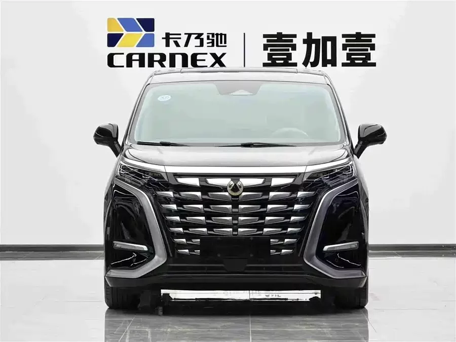 BYD D9