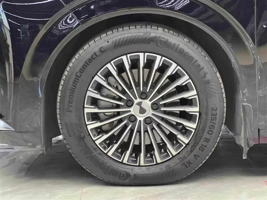 BYD D9