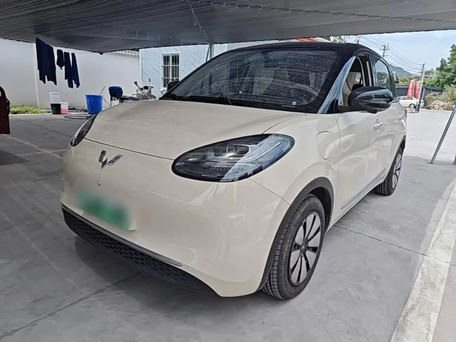 Wuling Bingo