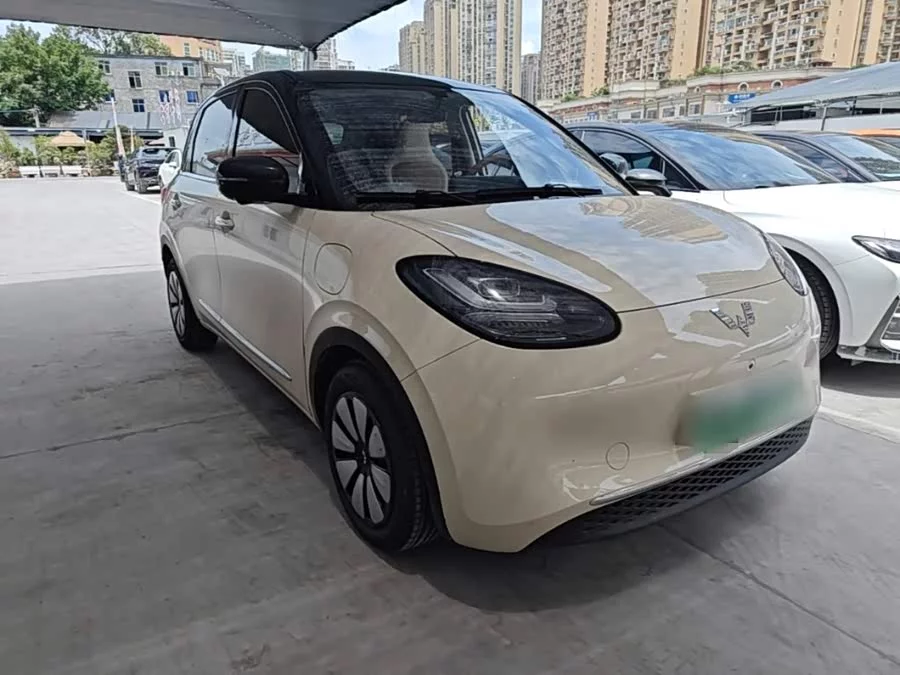 Wuling Bingo