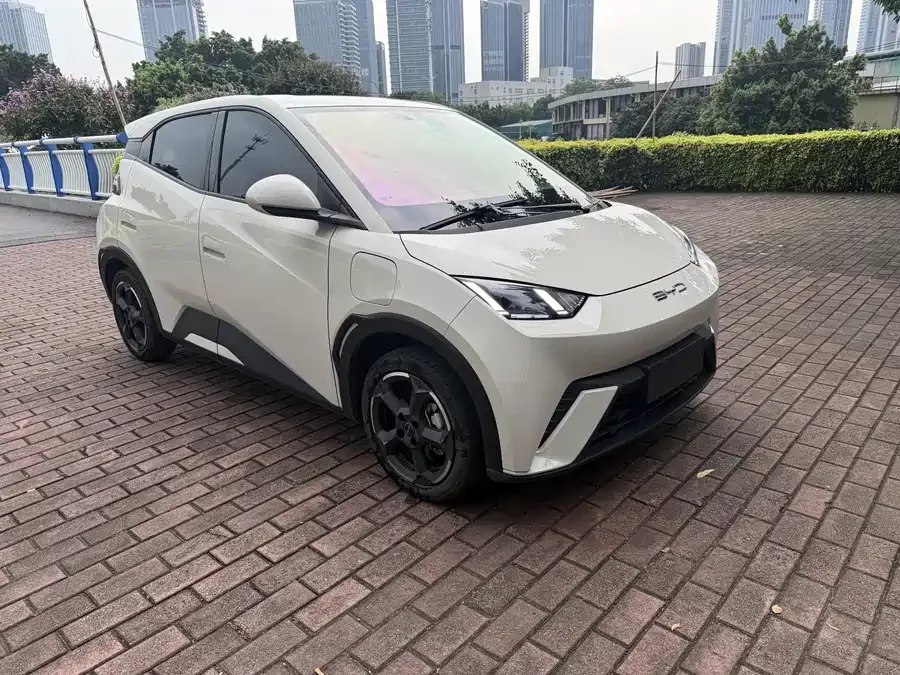 BYD Seagull